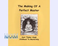 The Making of a Perfect Master