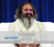 The Purpose of Life